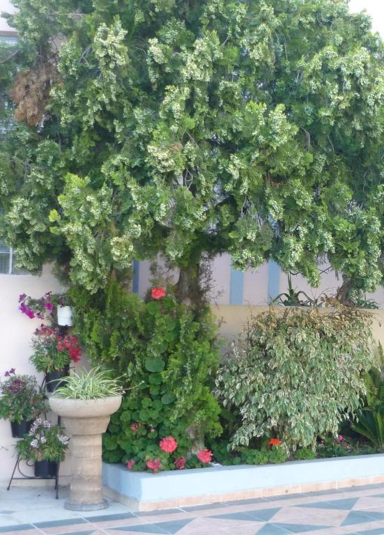 Rainbow Hotel Rhodes City Exterior foto